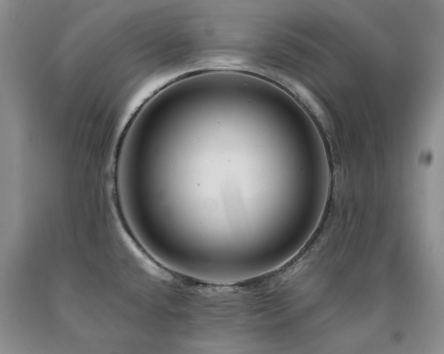 X0000090881432200707271302