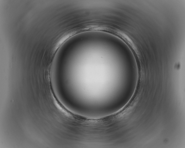 X0000090881433200707271302