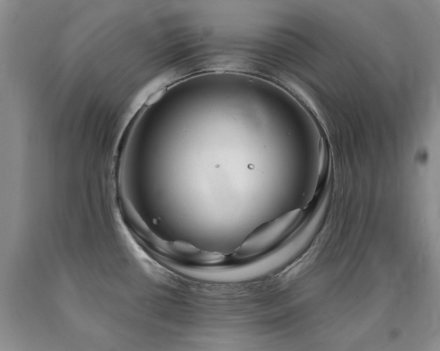 X0000090881434200707271302
