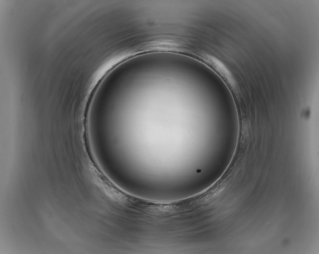 X0000090881435200707271302