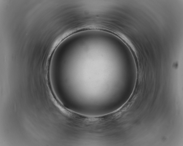 X0000090881437200707271302