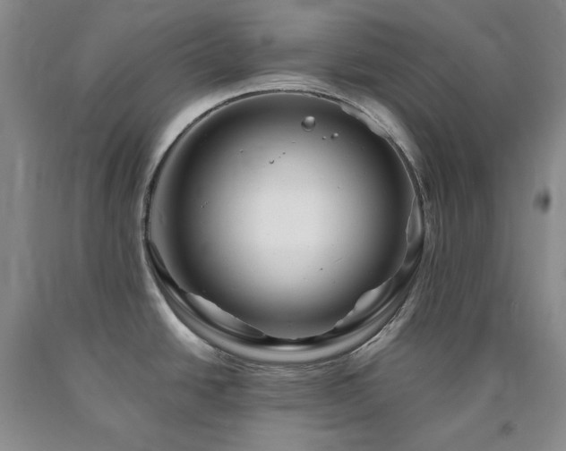 X0000090881438200707271302