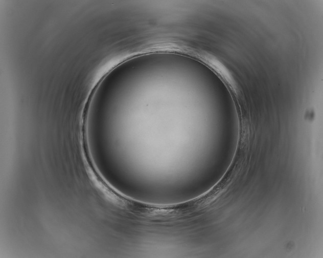X0000090881439200707271302