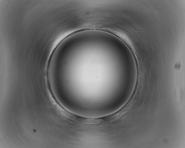 X0000090881440200707271302