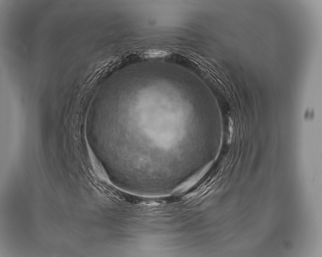 X0000090881441200707271301