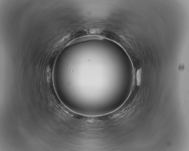 X0000090881443200707271301