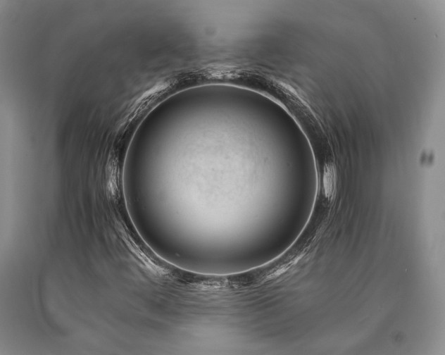 X0000090881444200707271301