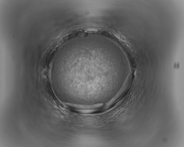X0000090881445200707271301