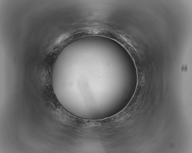 X0000090881446200707271301