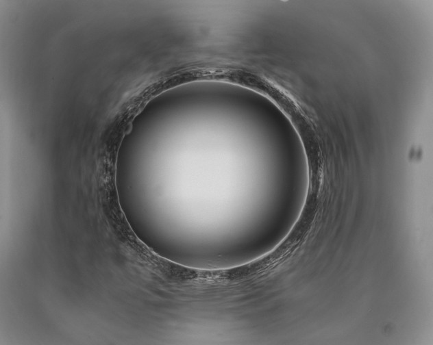 X0000090881447200707271301