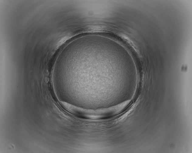 X0000090881449200707271301
