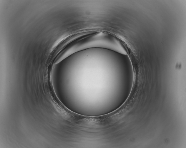 X0000090881450200707271301