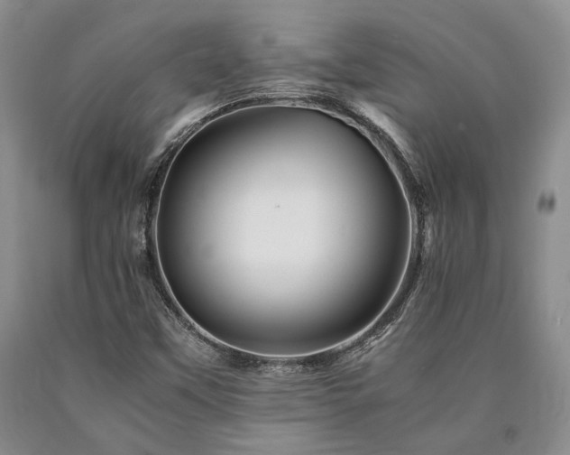 X0000090881451200707271301