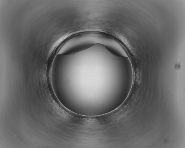 X0000090881452200707271301