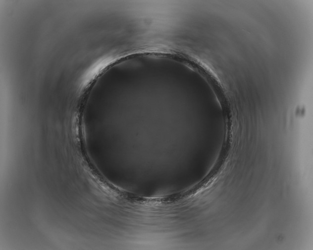 X0000090881455200707271301