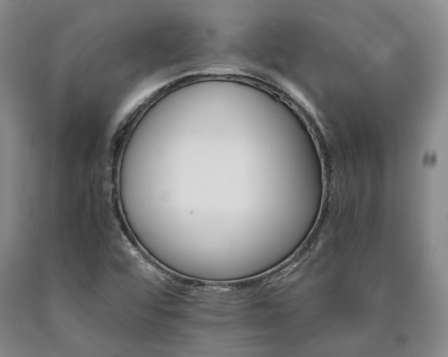 X0000090881456200707271301