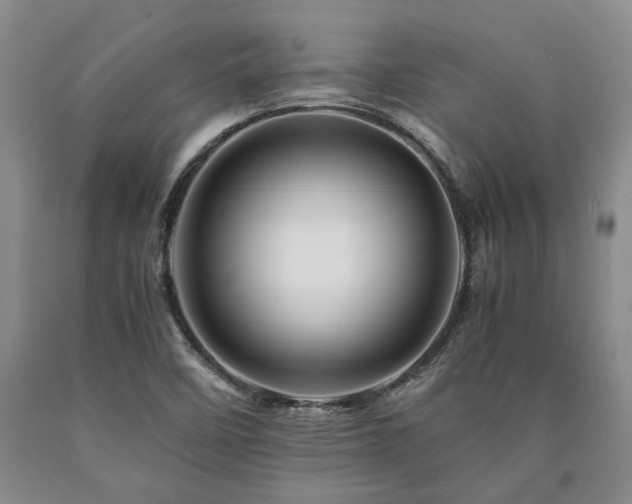 X0000090881458200707271301