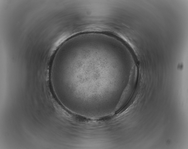 X0000090881459200707271301