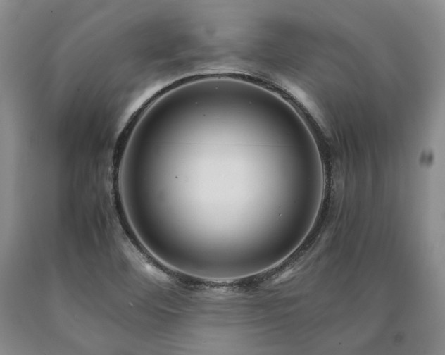 X0000090881460200707271301