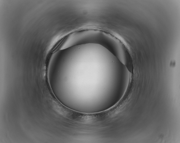 X0000090881461200707271301