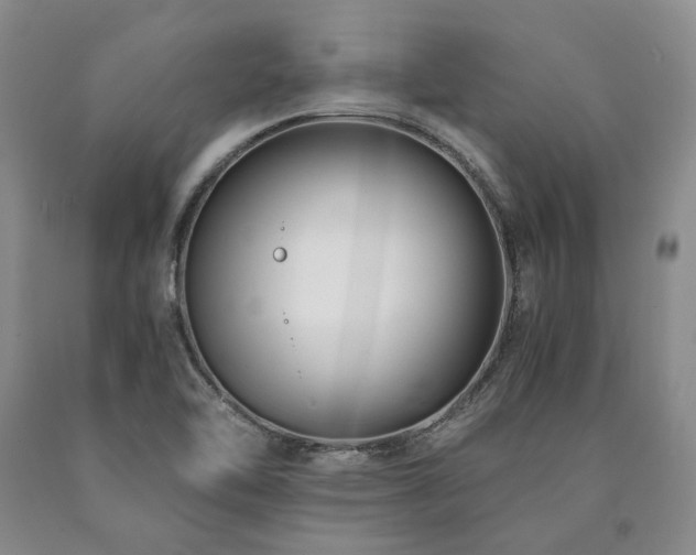 X0000090881462200707271301