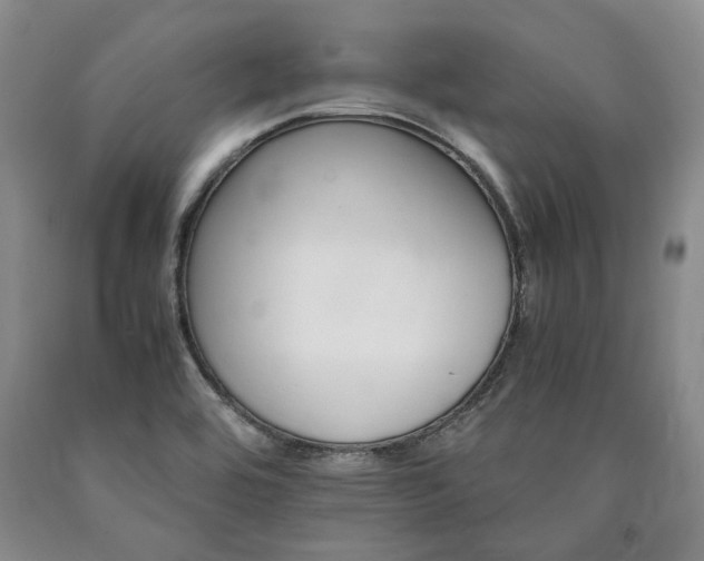 X0000090881464200707271301