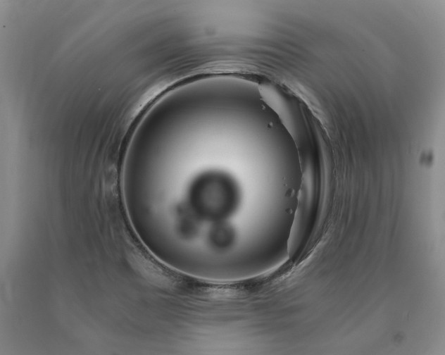 X0000090881465200707271301