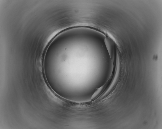 X0000090881468200707271301