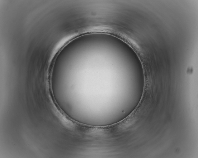 X0000090881470200707271301