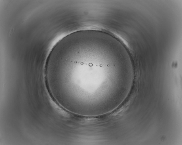 X0000090881471200707271301