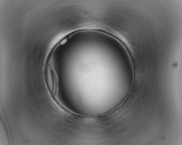 X0000090881472200707271301