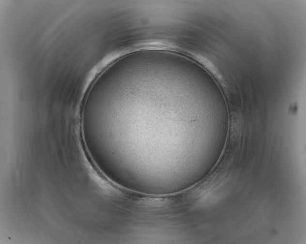 X0000090881474200707271301