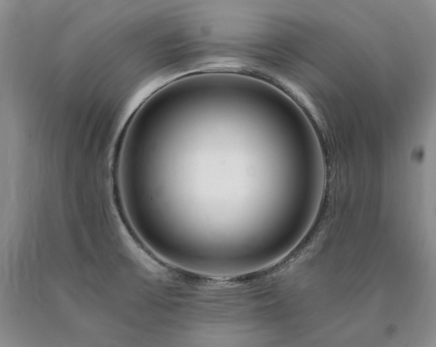 X0000090881475200707271301