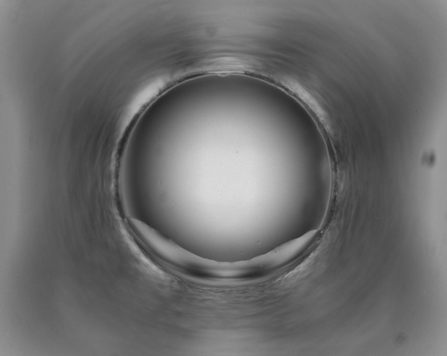X0000090881477200707271301