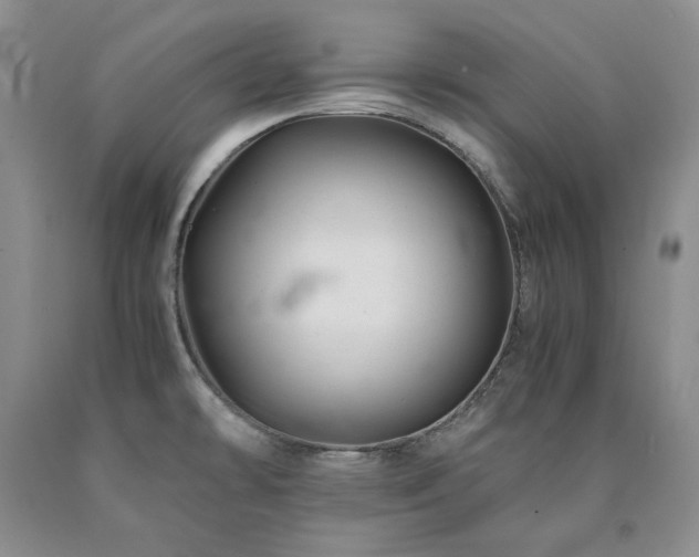 X0000090881478200707271301