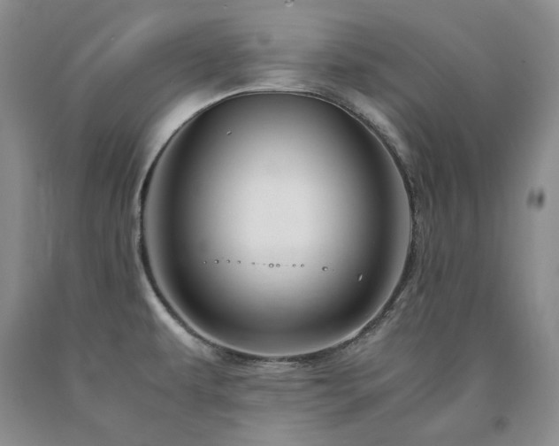 X0000090881479200707271301
