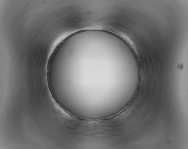 X0000090881480200707271301