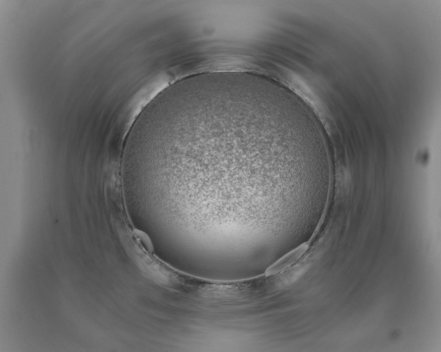 X0000090881481200707271301