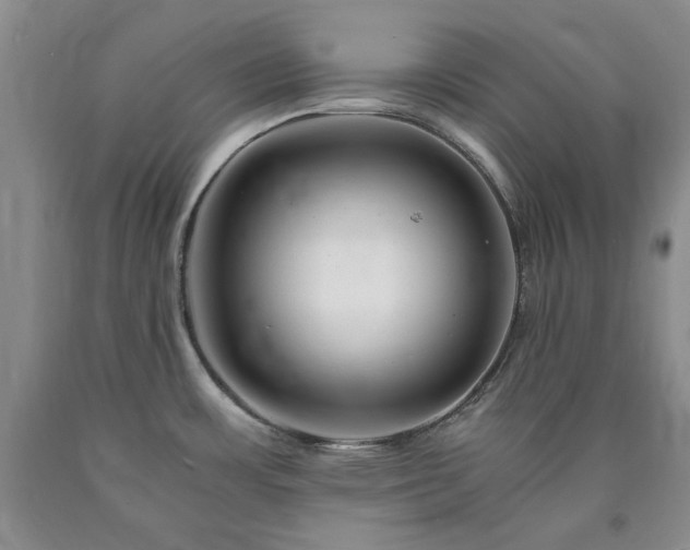 X0000090881483200707271301