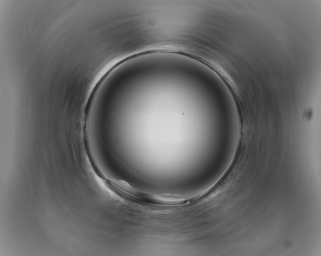 X0000090881484200707271301