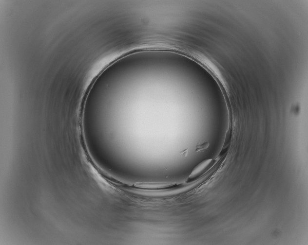 X0000090881485200707271301