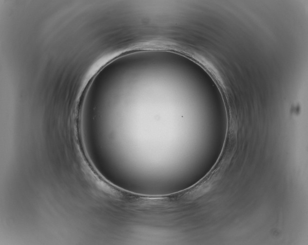 X0000090881486200707271301