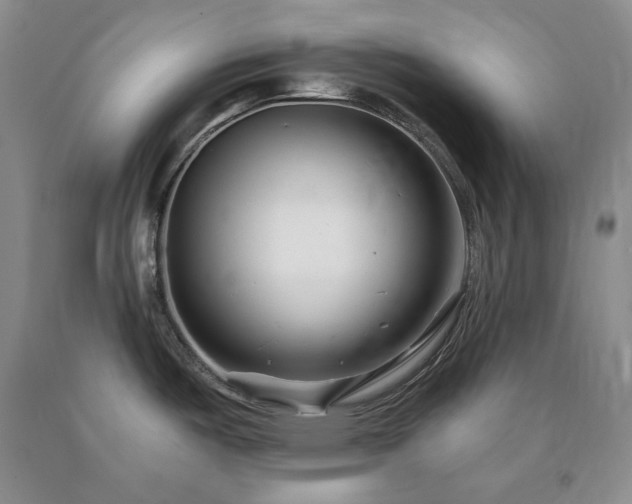 X0000090881487200707271301