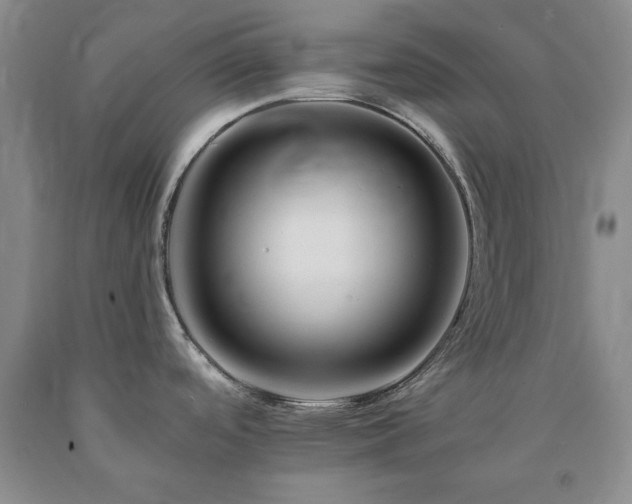 X0000090881488200707271301