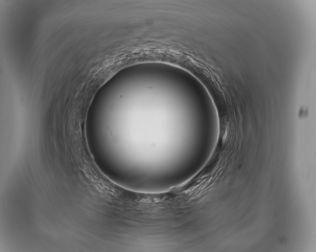 X0000090881489200707271300