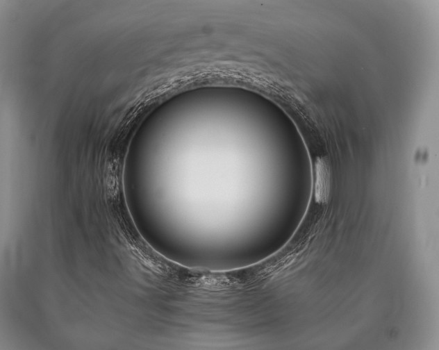 X0000090881491200707271300