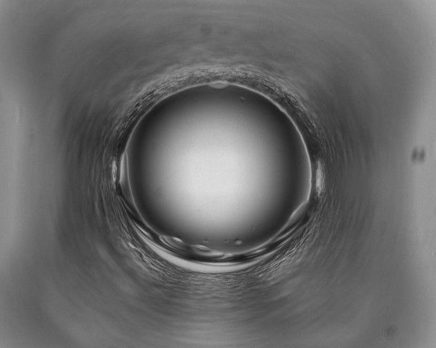 X0000090881492200707271300