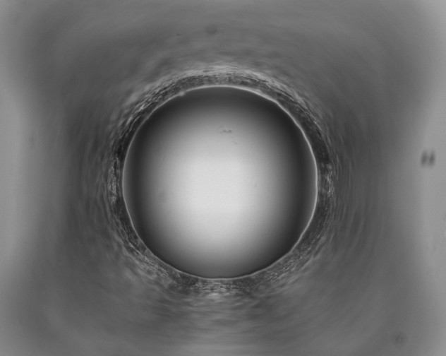 X0000090881493200707271300