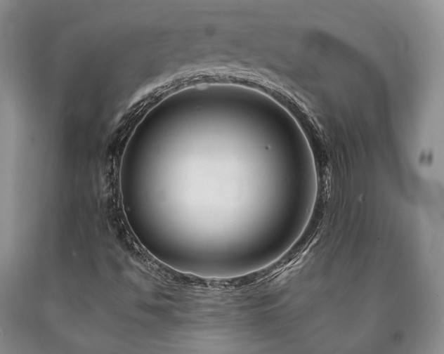 X0000090881494200707271300