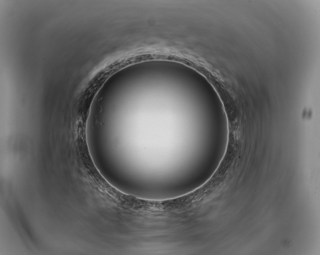 X0000090881495200707271300
